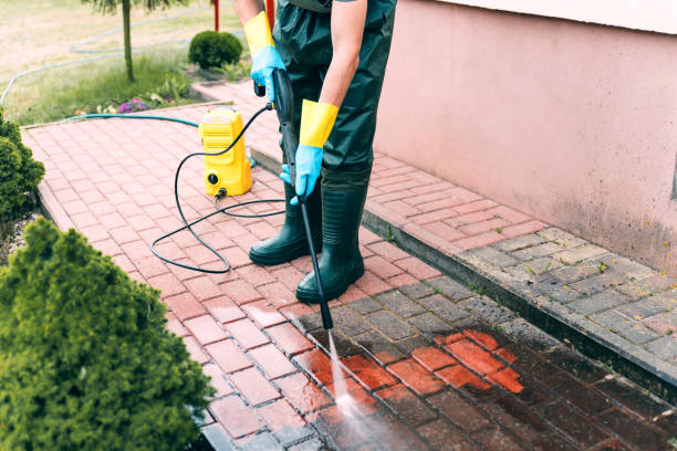 Best Oil Spill Cleanup  in Meadow Vista, CA